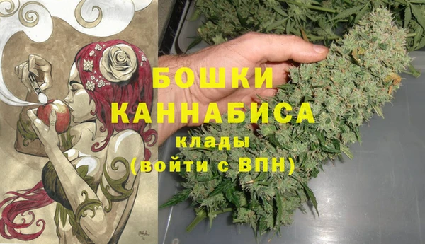 крисы Арсеньев