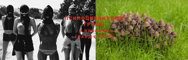 мет Аркадак