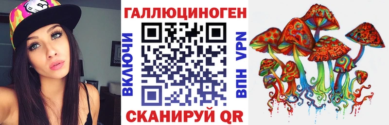 Псилоцибиновые грибы Psilocybe  как найти   Сольвычегодск 